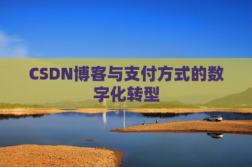CSDN博客与支付方式的数字化转型